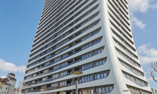 imgi_44_file_01725415620648